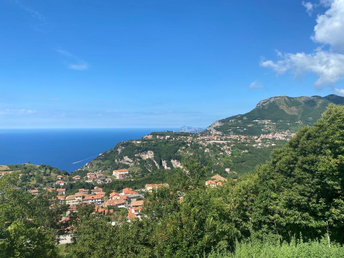 أَجيرولا B&B Villa Reginella المظهر الخارجي الصورة
